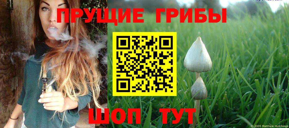 Галлюциногенные грибы Cubensis Кунгур