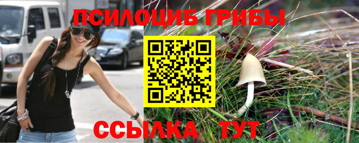 Кунгур  Галлюциногенные грибы Magic Shrooms  Вход с VPN  Псилоцибиновые грибы Psilocybe 